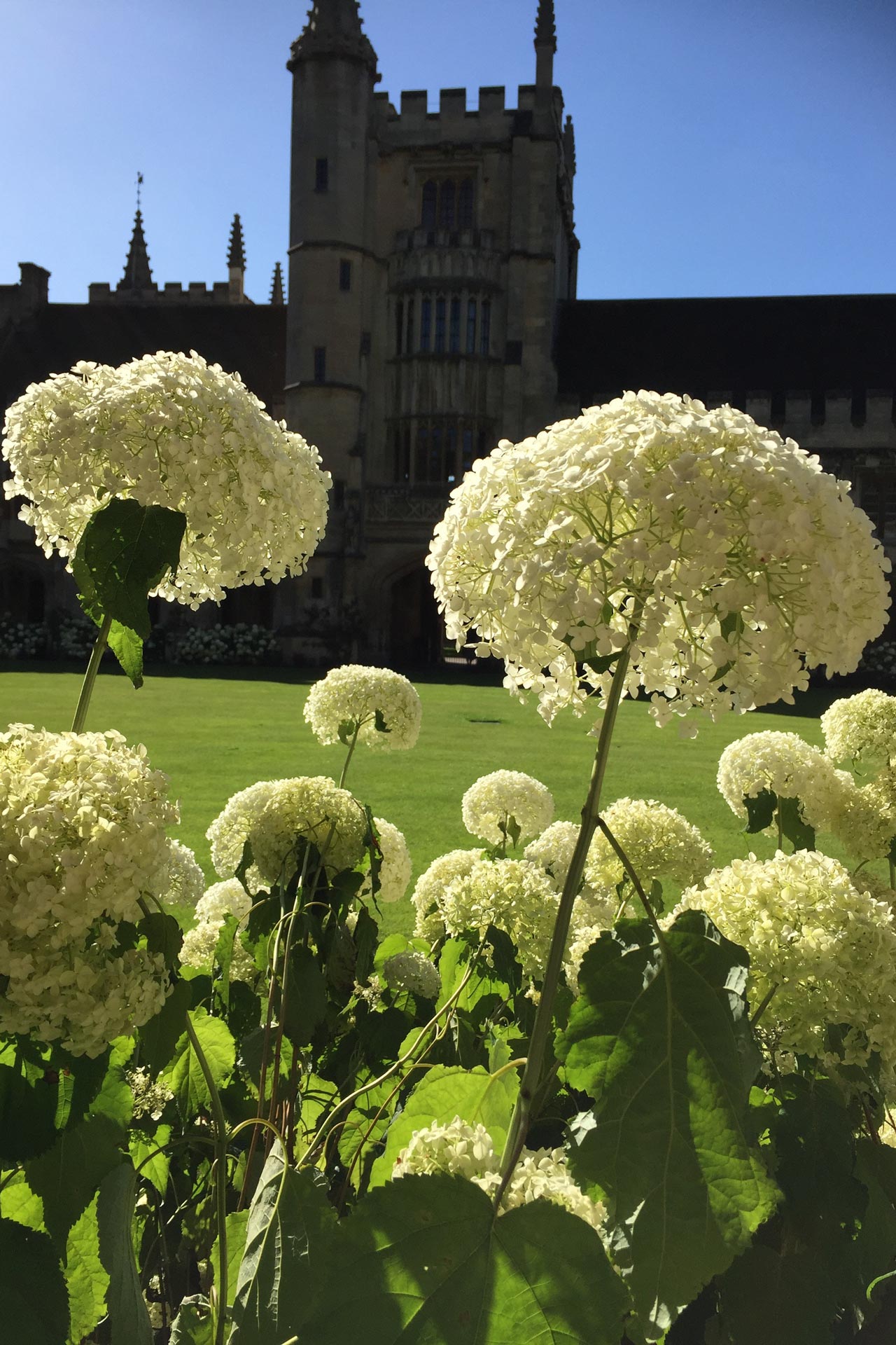 can you visit magdalen college oxford