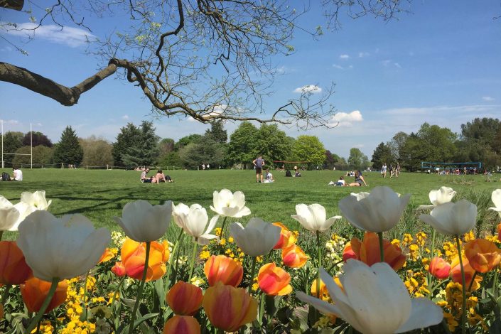 The Oxford University Parks
