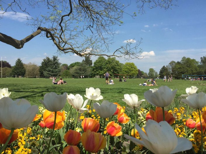 The Oxford University Parks
