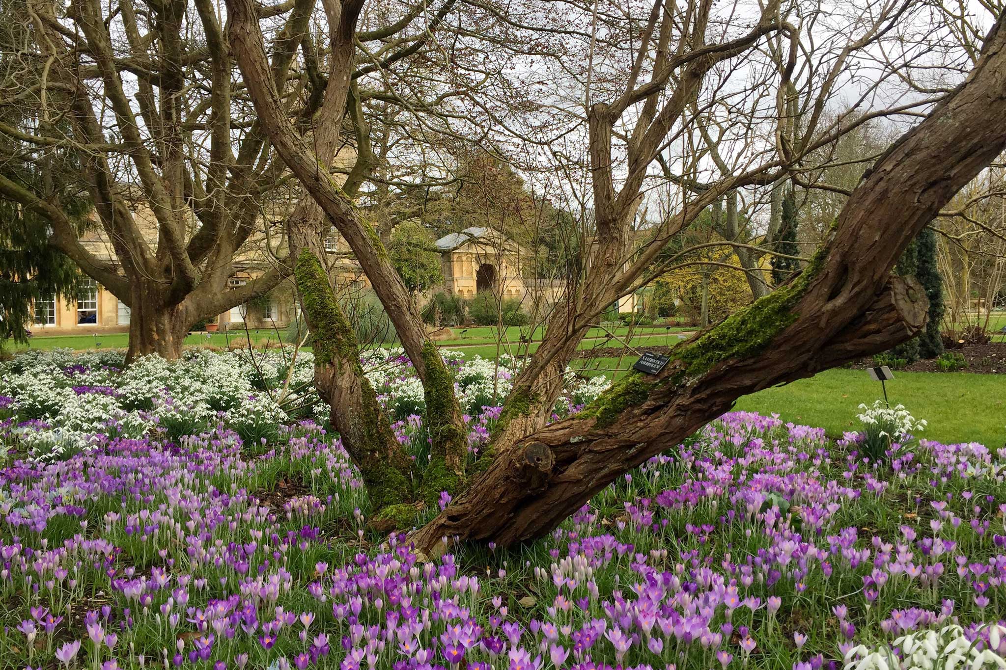 gardens to visit near oxford