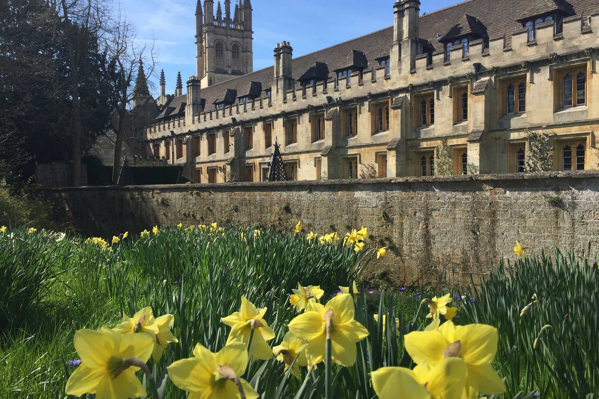 spring-at-magdalen-college-oxford-oxfordshire-19